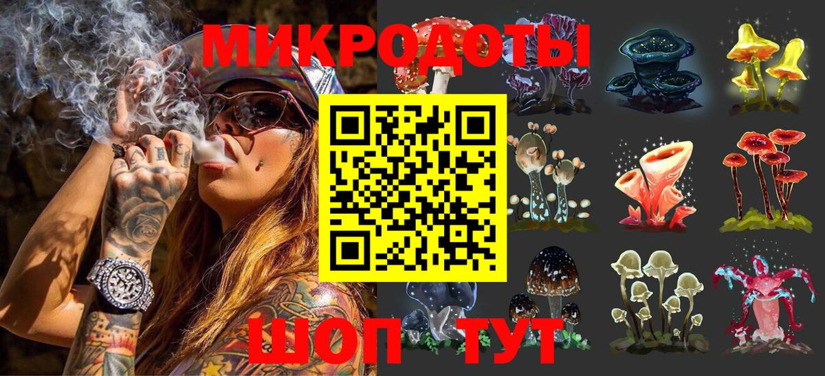 Галлюциногенные грибы Psilocybe Холмск
