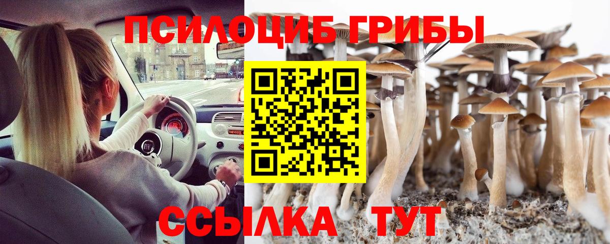 Холмск  Галлюциногенные грибы ЛСД  Вход с VPN  Галлюциногенные грибы Psilocybe 