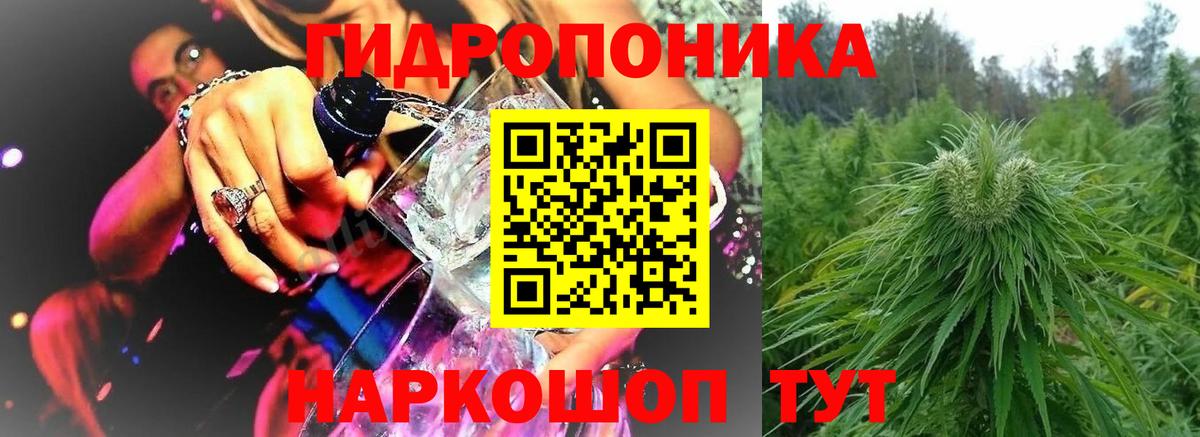 Бошки Шишки MAZAR Холмск